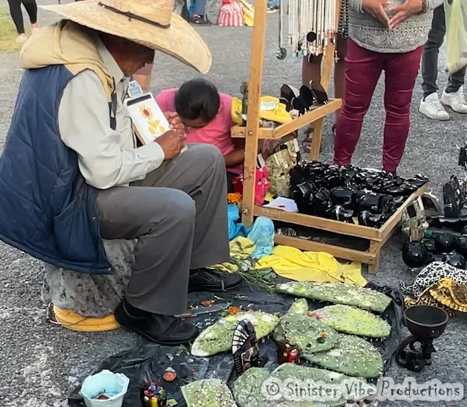 photo of Mexican man painting with cactus leaves.