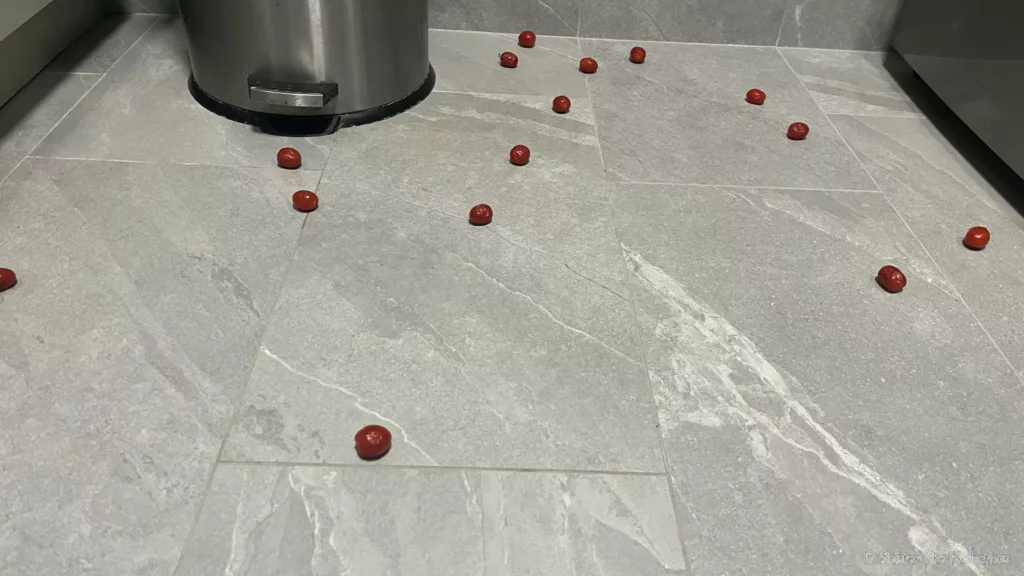 photo of cherry tomatoes on kitchen floor