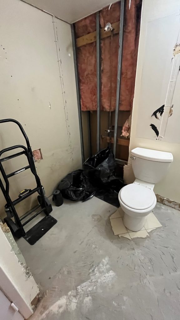 bathroom.renovation.during.02-55