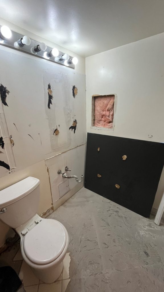 bathroom.renovation.during.03-11
