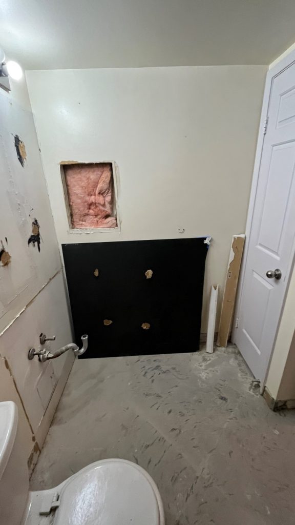 bathroom.renovation.during.03-16