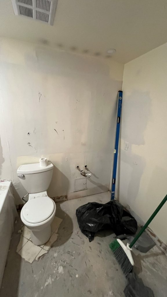 bathroom.renovation.during_2221