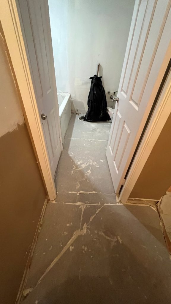 bathroom.renovation.during_2245