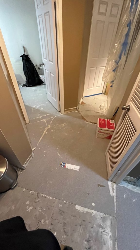 bathroom.renovation.during_2246