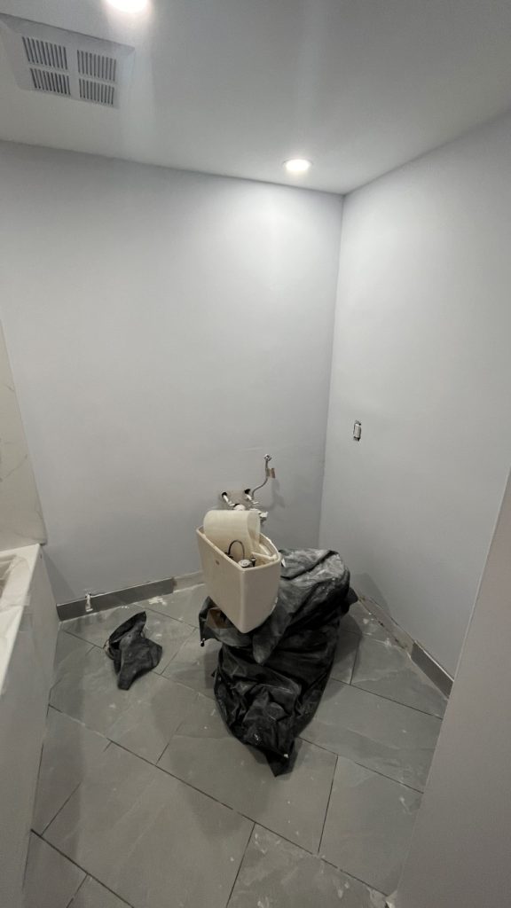bathroom.renovation.during_2473