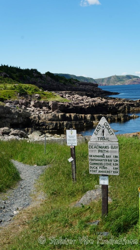 canada.nfld.cape.spear.19
