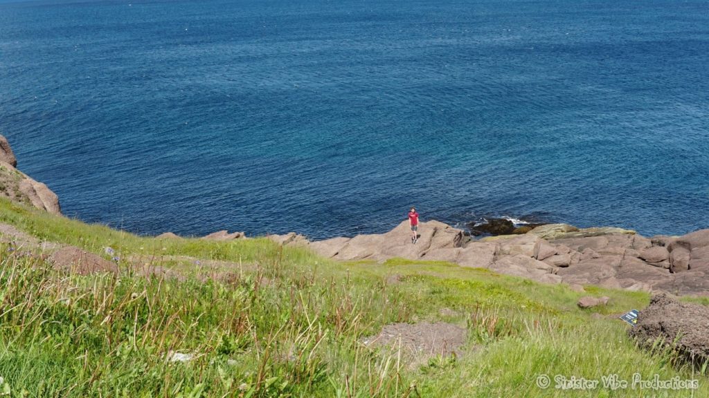 canada.nfld.cape.spear.47