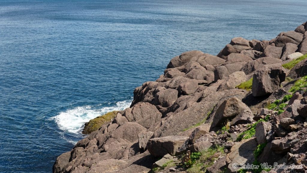 canada.nfld.cape.spear.49
