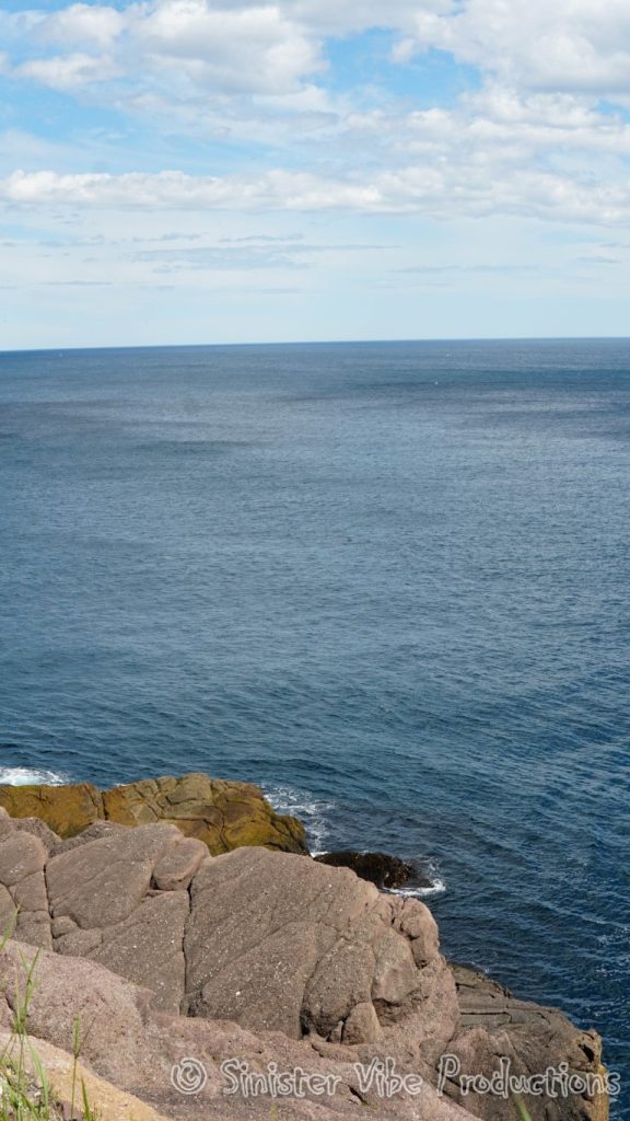 canada.nfld.cape.spear.52
