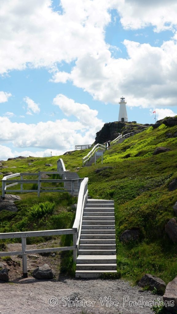 canada.nfld.cape.spear.53