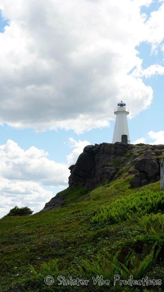 canada.nfld.cape.spear.58