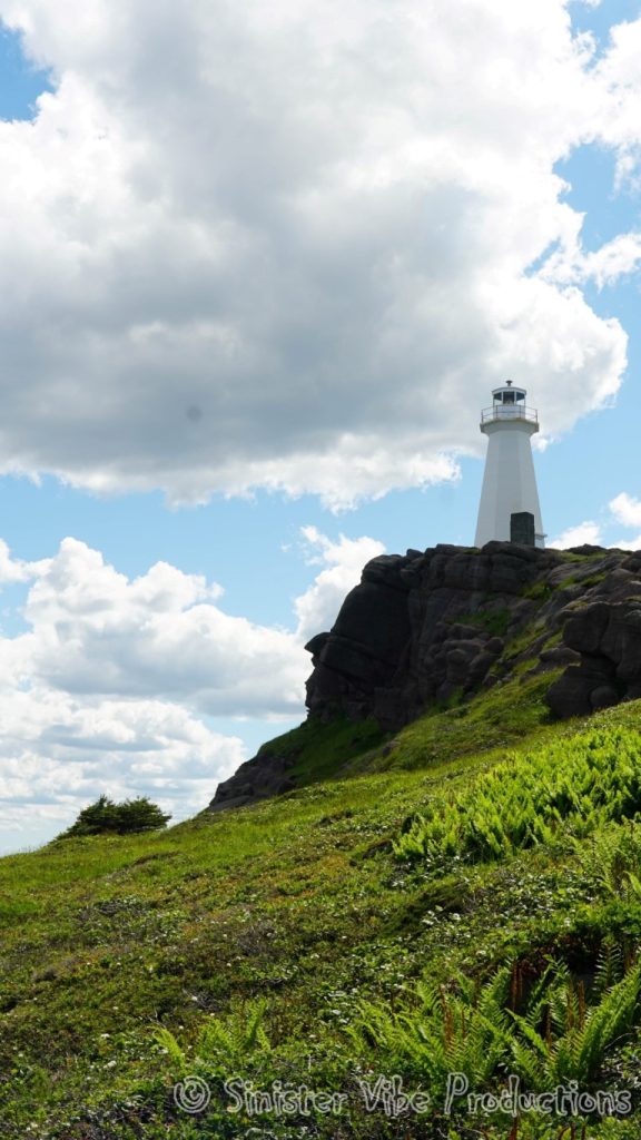 canada.nfld.cape.spear.59