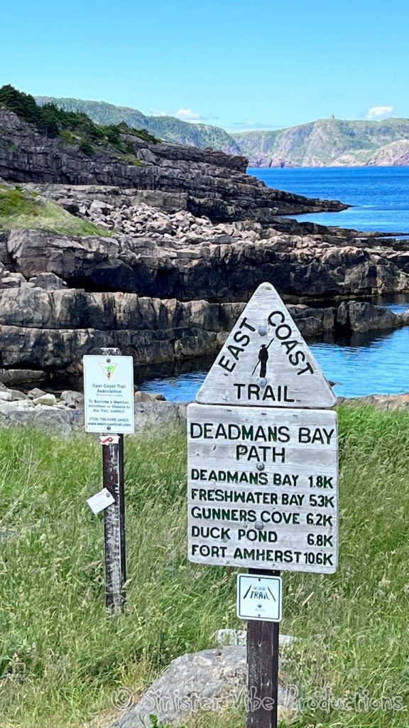 canada.nfld.cape.spear.6