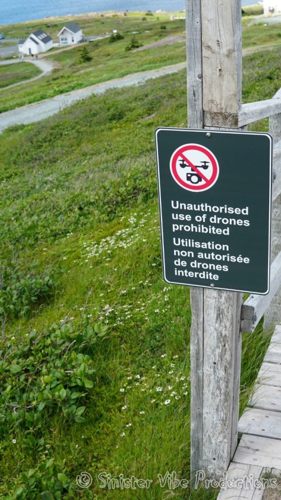 canada.nfld.cape.spear.77