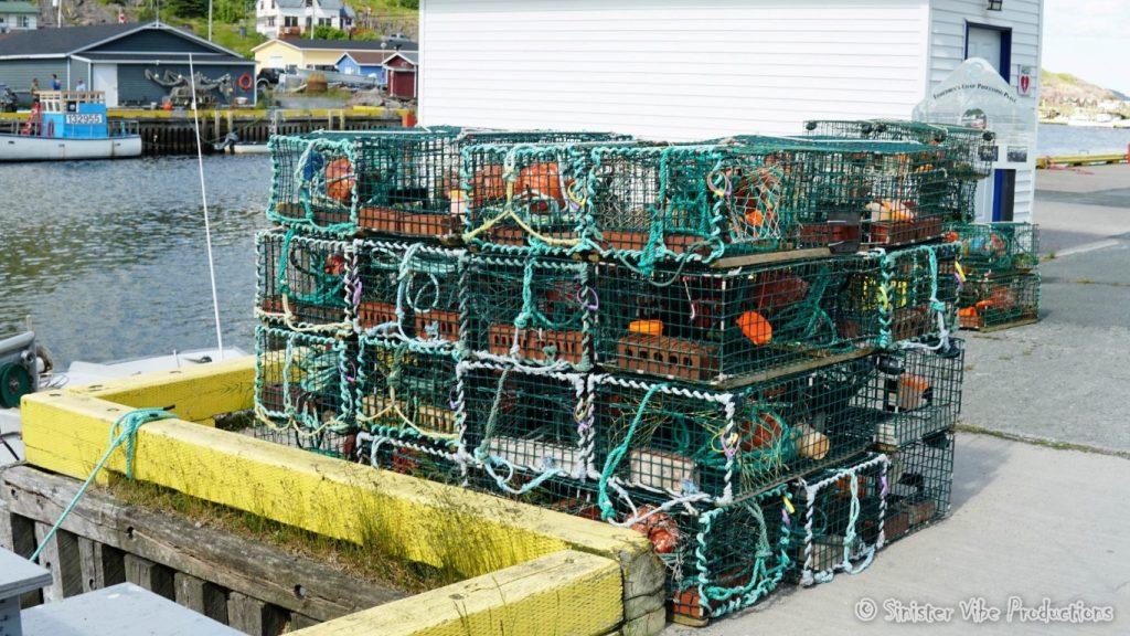 canada.nfld.petty.harbour.26
