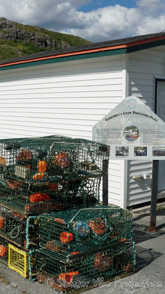 canada.nfld.petty.harbour.27