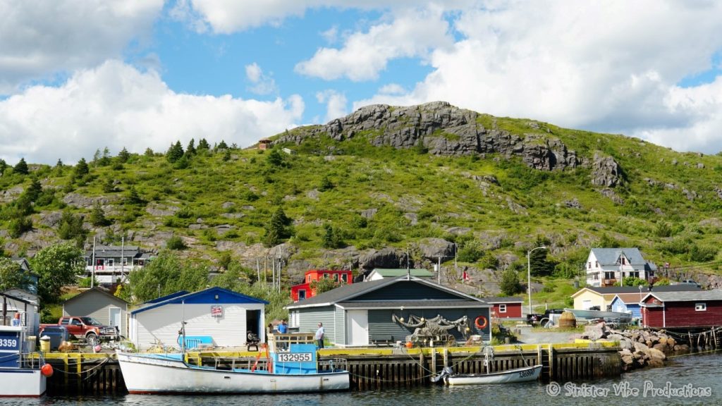 canada.nfld.petty.harbour.29