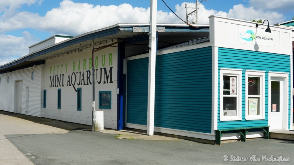 canada.nfld.petty.harbour.31