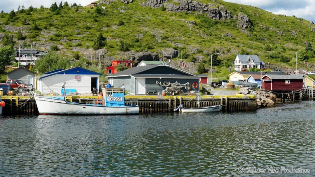 canada.nfld.petty.harbour.32