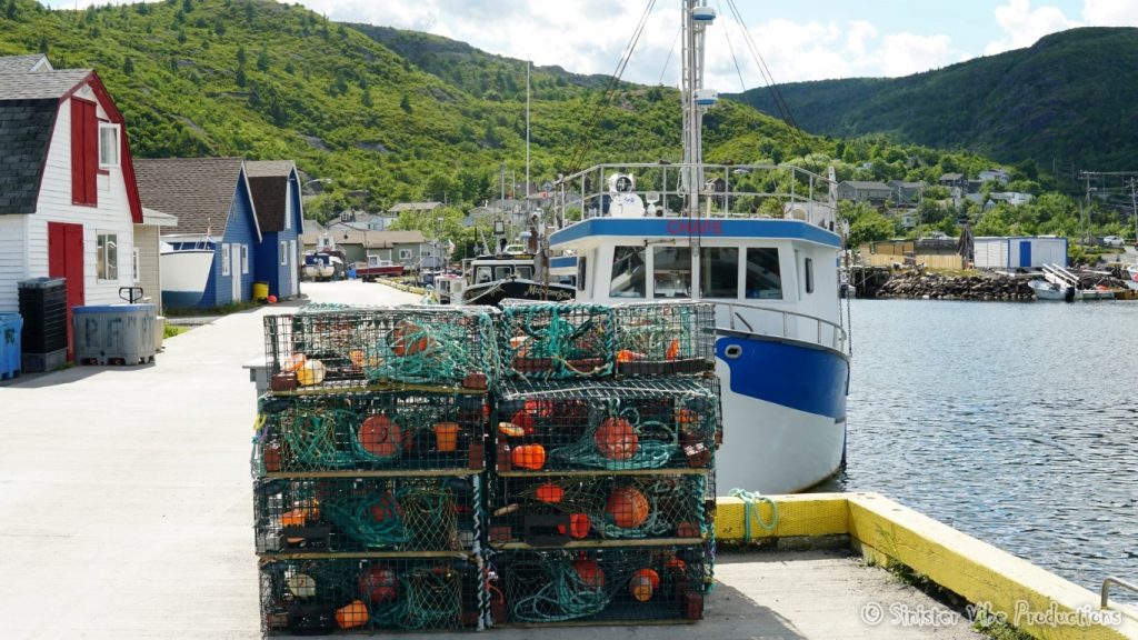 canada.nfld.petty.harbour.33