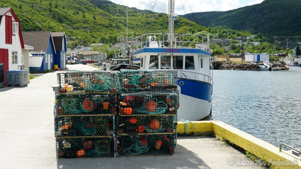 canada.nfld.petty.harbour.34