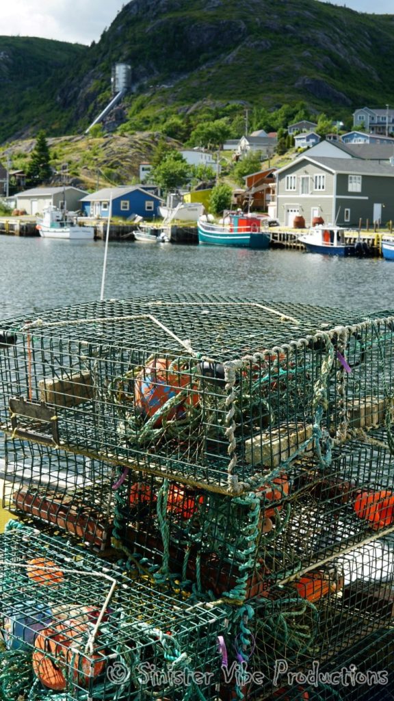 canada.nfld.petty.harbour.35