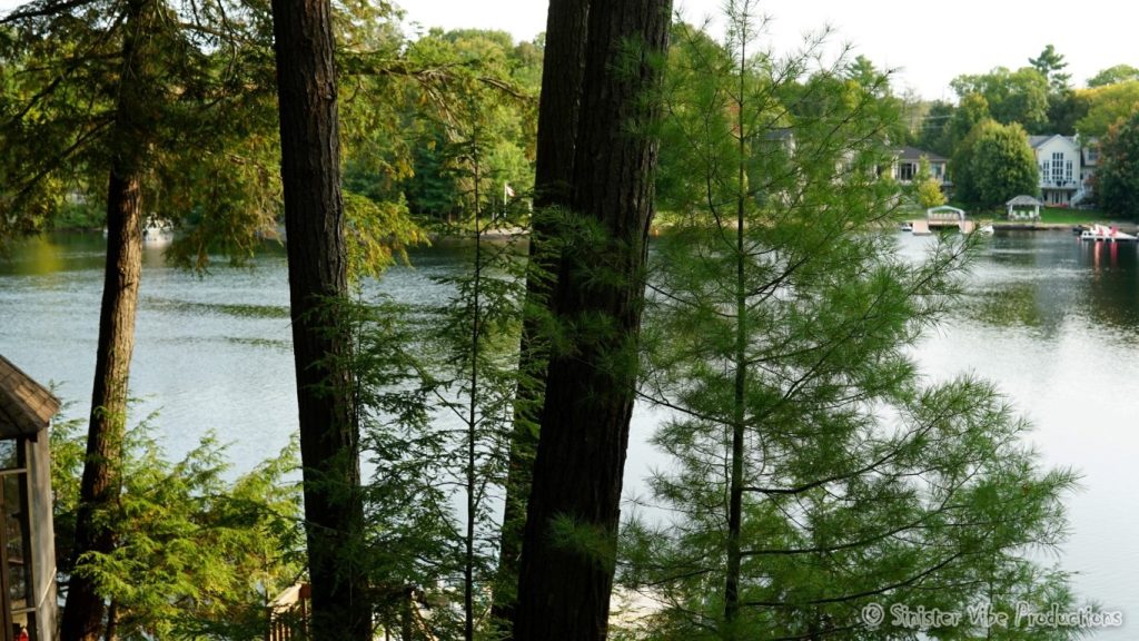 canada.ontario.bala.moon.river.100