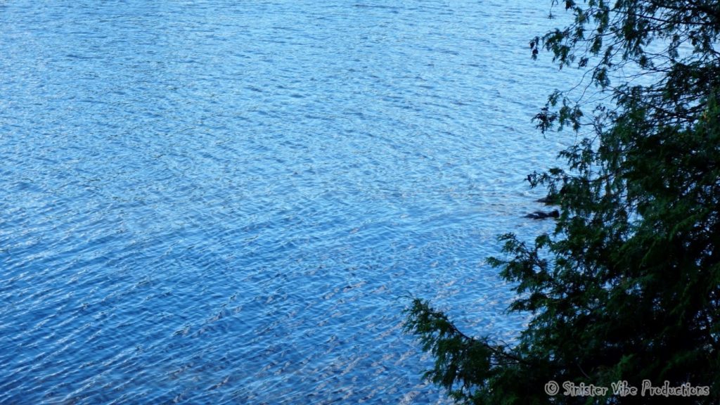 canada.ontario.bala.moon.river.110