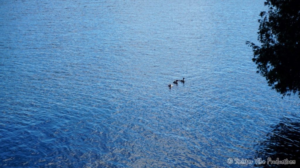 canada.ontario.bala.moon.river.111