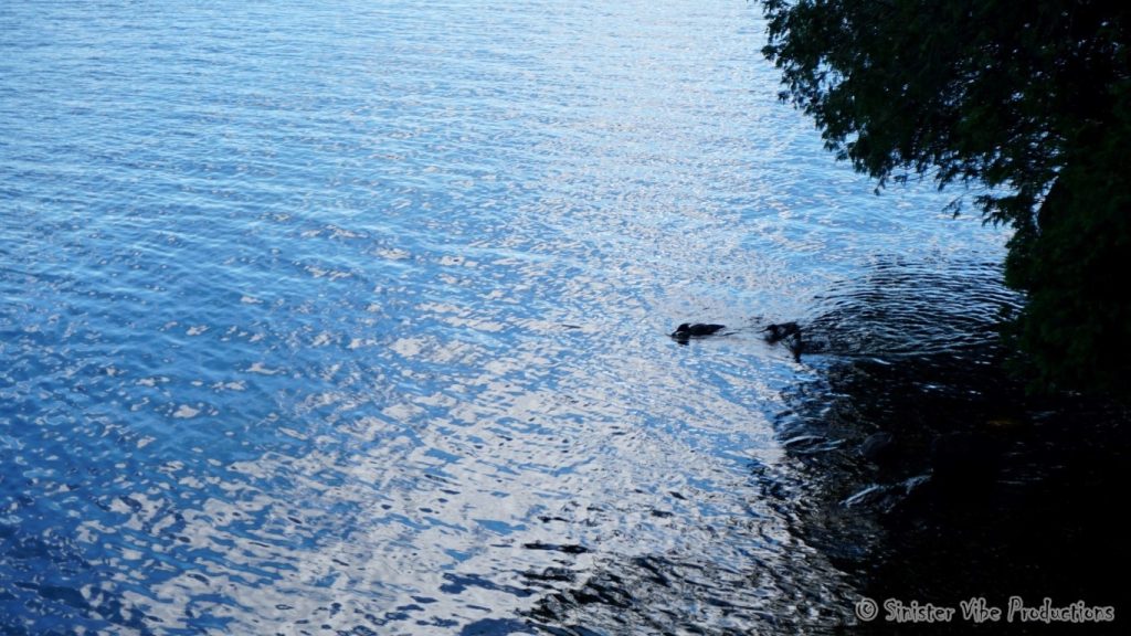 canada.ontario.bala.moon.river.115