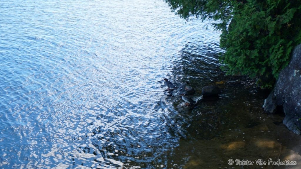 canada.ontario.bala.moon.river.116