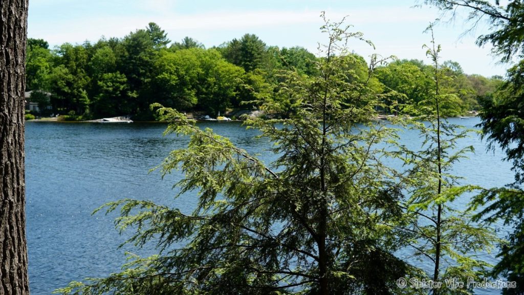 canada.ontario.bala.moon.river.237