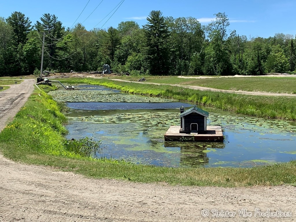 canada.ontario.bala.moon.river.329
