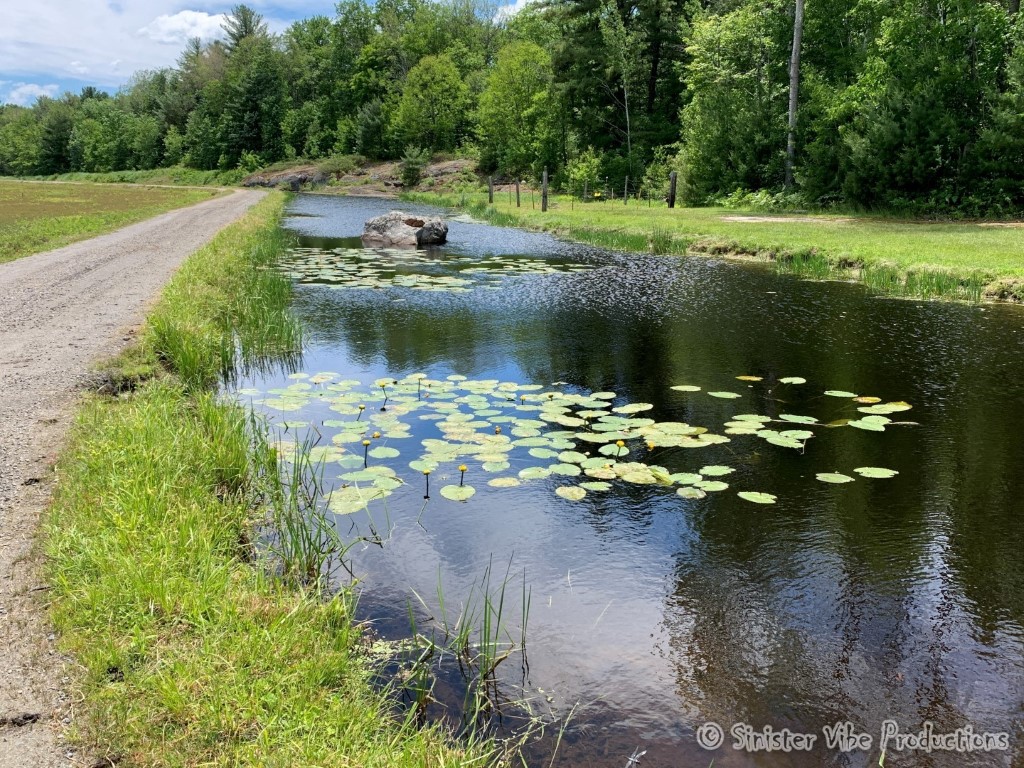 canada.ontario.bala.moon.river.345