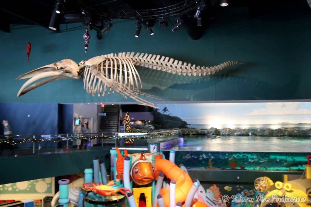 canada.ontario.toronto.aquarium.1