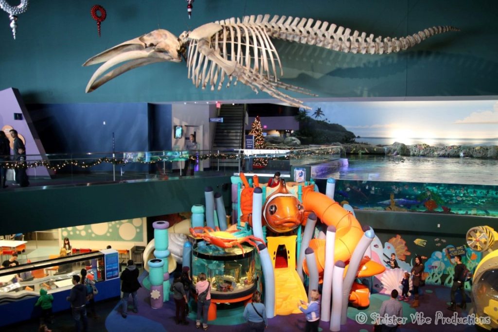 canada.ontario.toronto.aquarium.2