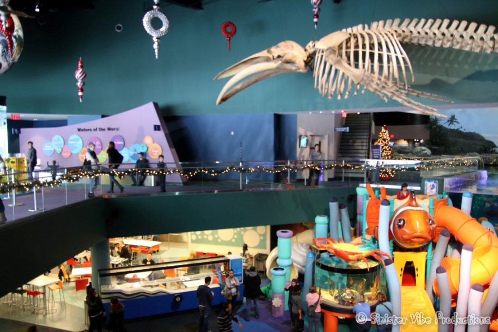 canada.ontario.toronto.aquarium.3