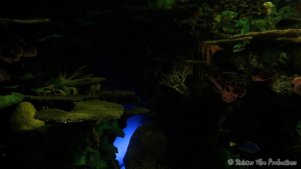 canada.ontario.toronto.aquarium.36