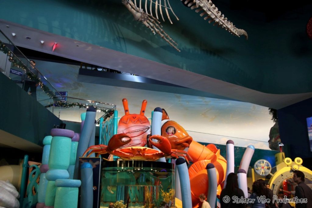 canada.ontario.toronto.aquarium.39