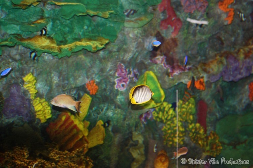 canada.ontario.toronto.metro zoo.46
