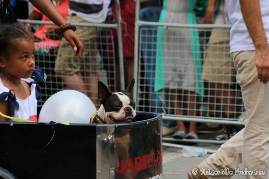 canada.ontario.world pride 2014.112