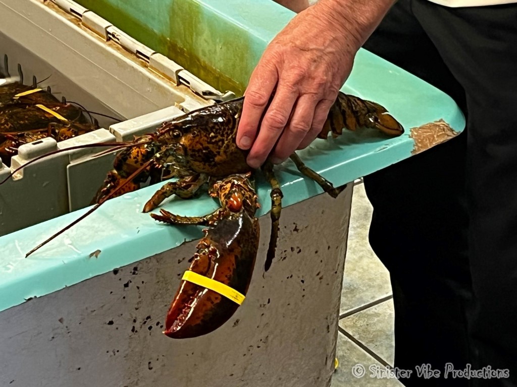 canada.pei.charlottetown.11