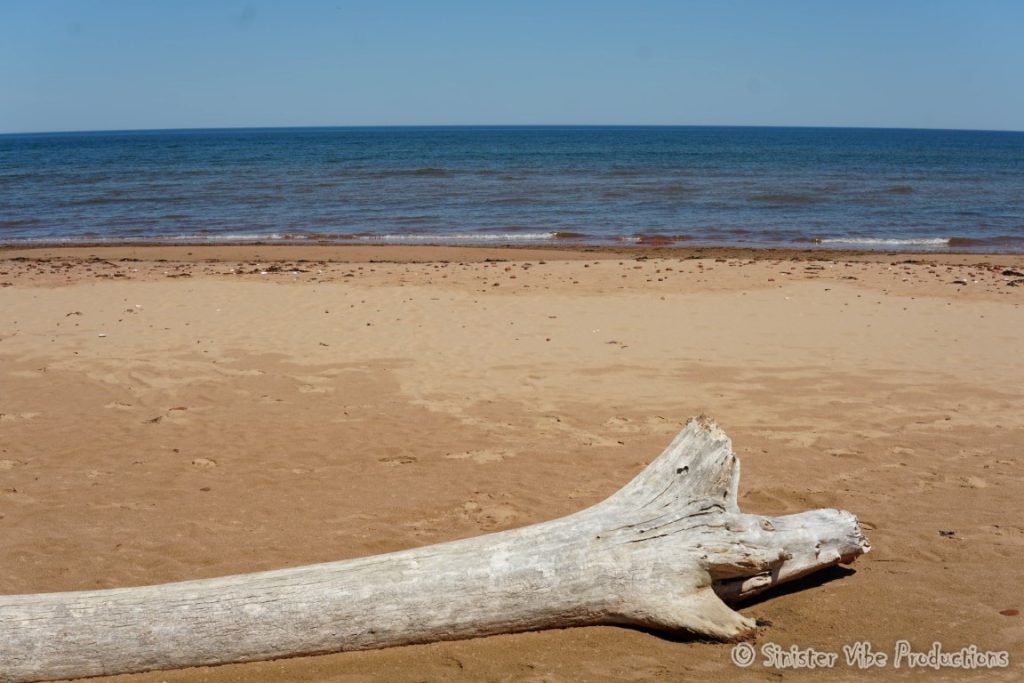 canada.pei.dalway beach.15