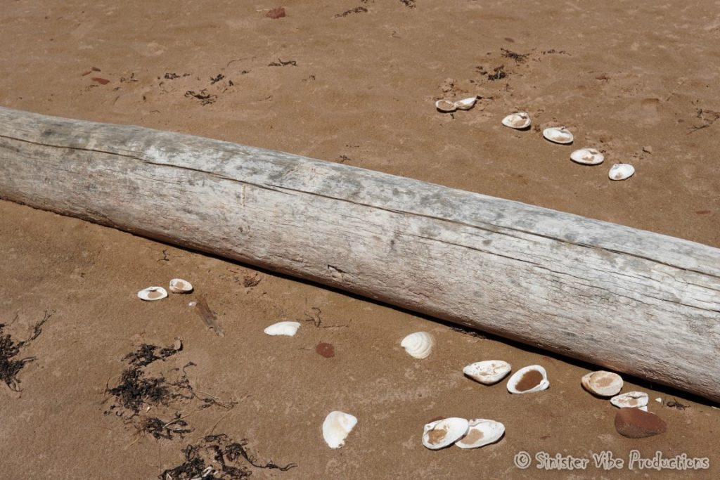 canada.pei.dalway beach.16