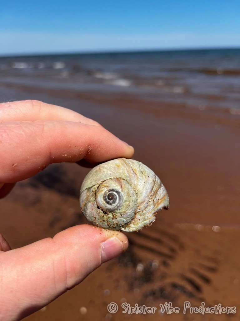 canada.pei.dalway beach.5