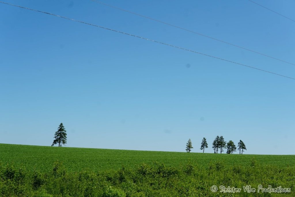 canada.pei.dalway beach.9