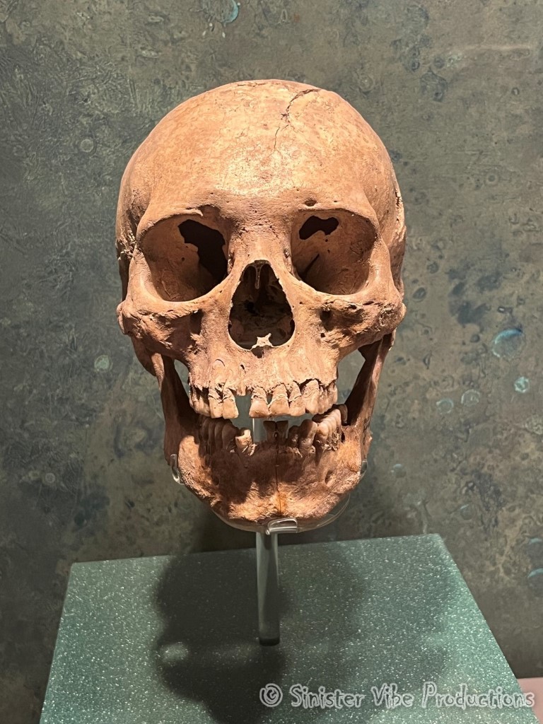 mexico.antropologia museum.11013