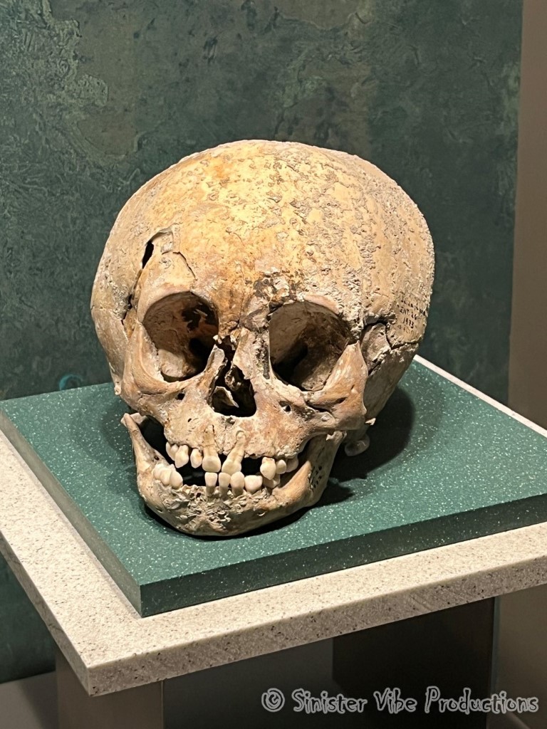 mexico.antropologia museum.11114