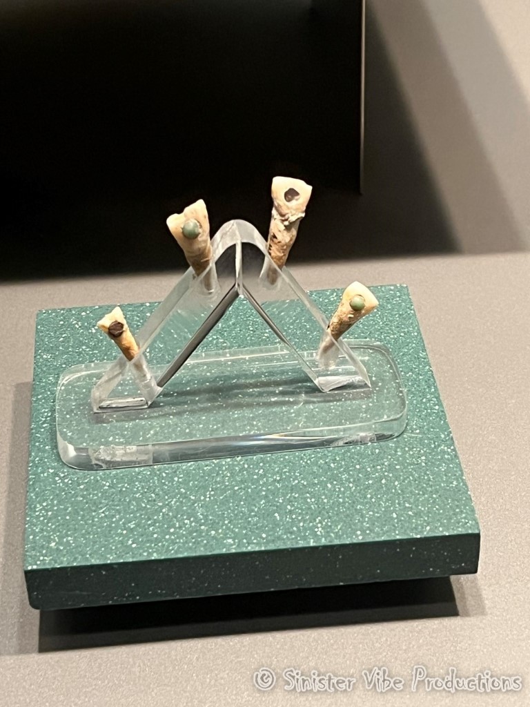 mexico.antropologia museum.11215