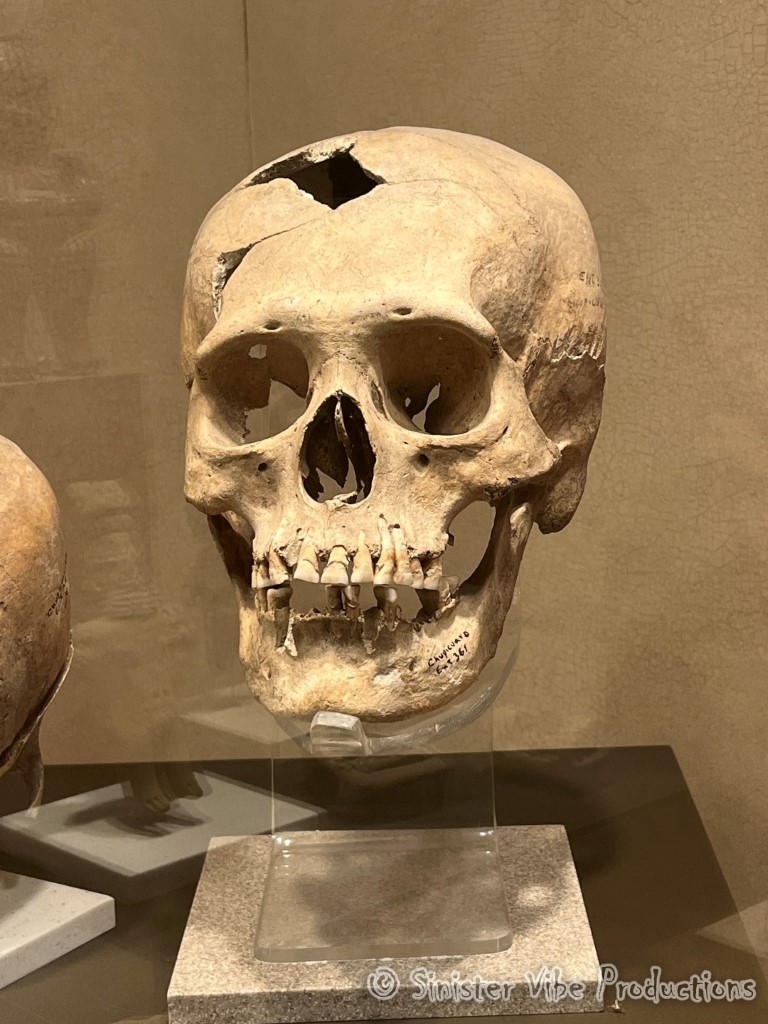 mexico.antropologia museum.13338